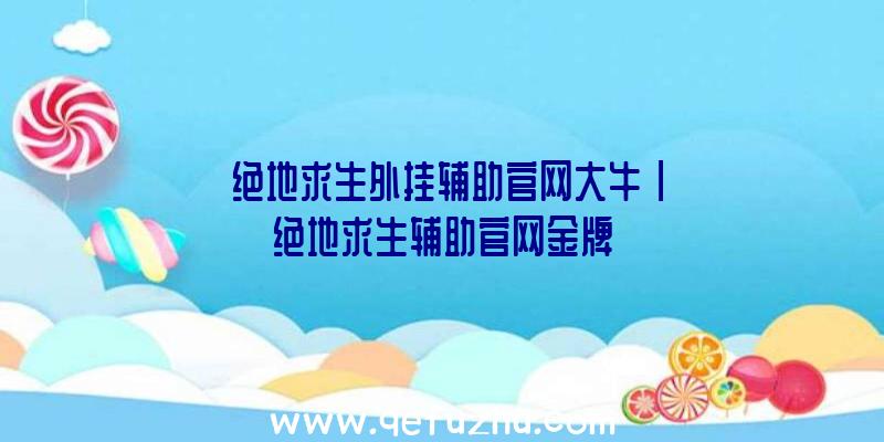 「绝地求生外挂辅助官网大牛」|绝地求生辅助官网金牌